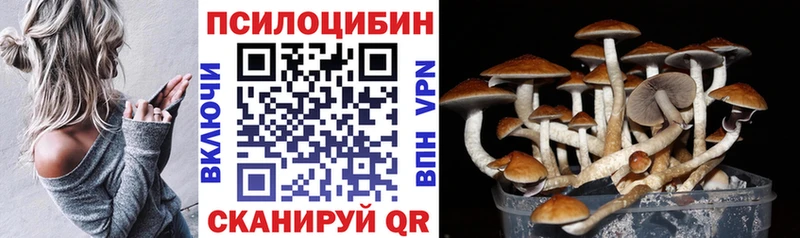 Псилоцибиновые грибы Cubensis  купить наркоту  Судогда 